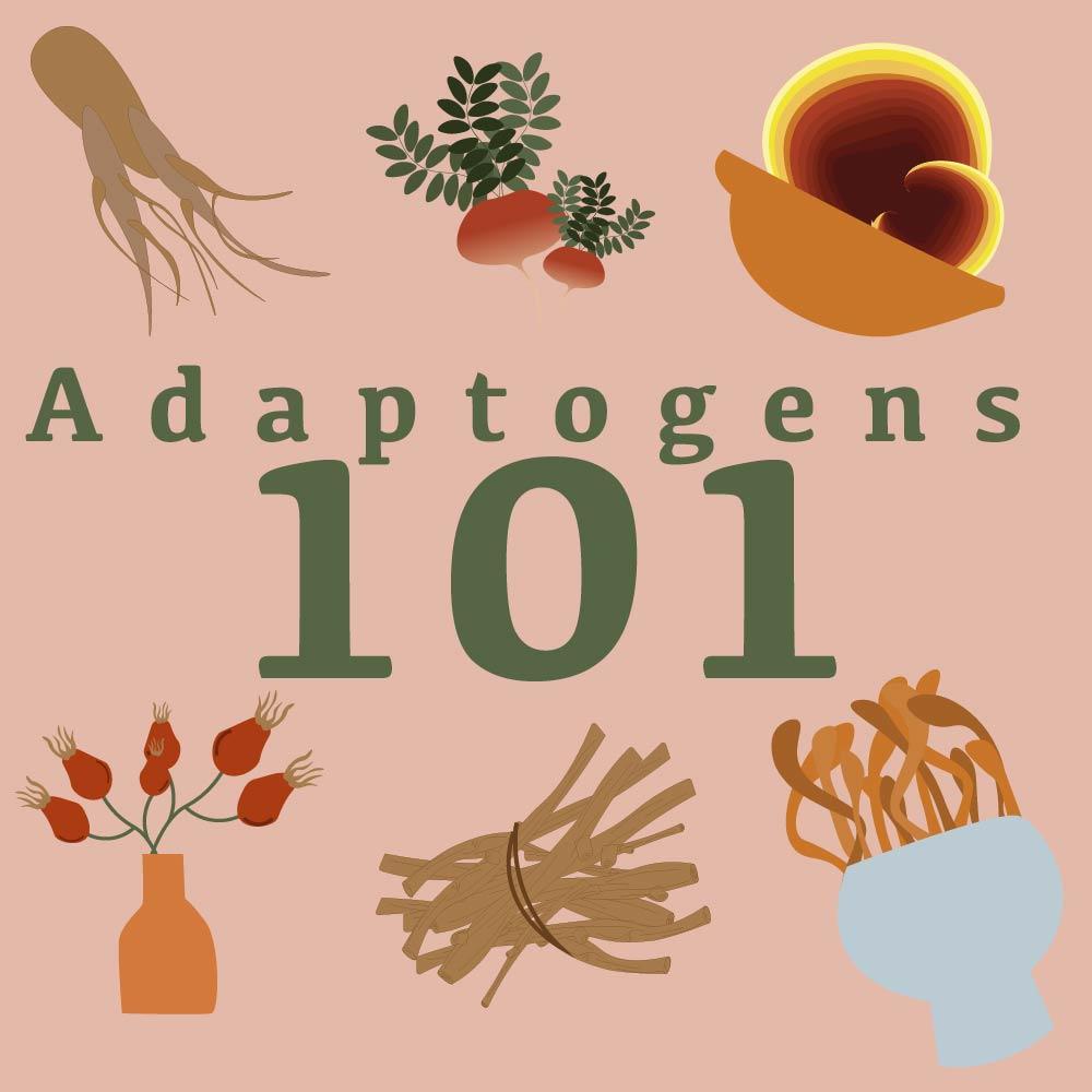 The Ultimate Guide To Adaptogens