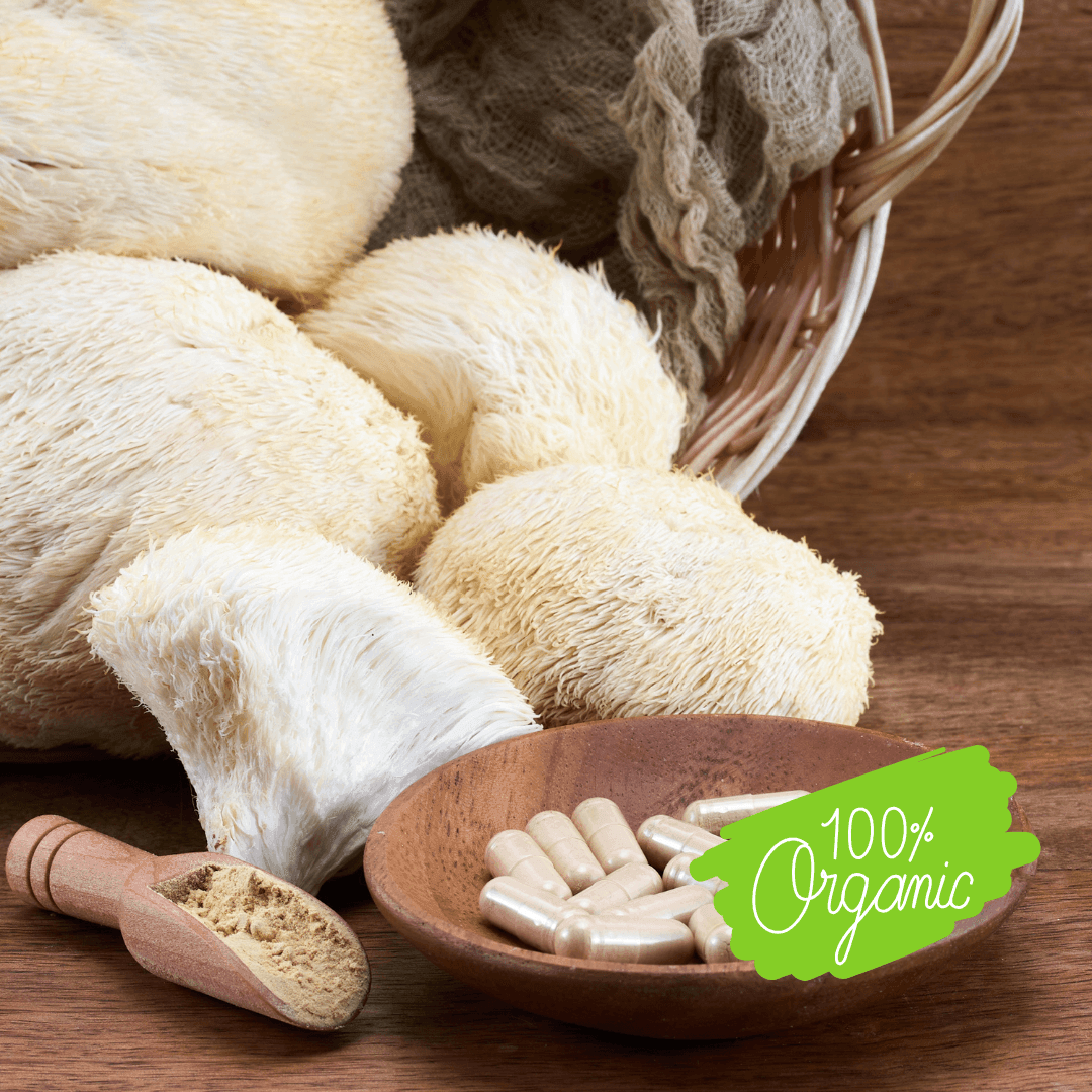 Lion's mane mushrooms and capsules with organic logo
