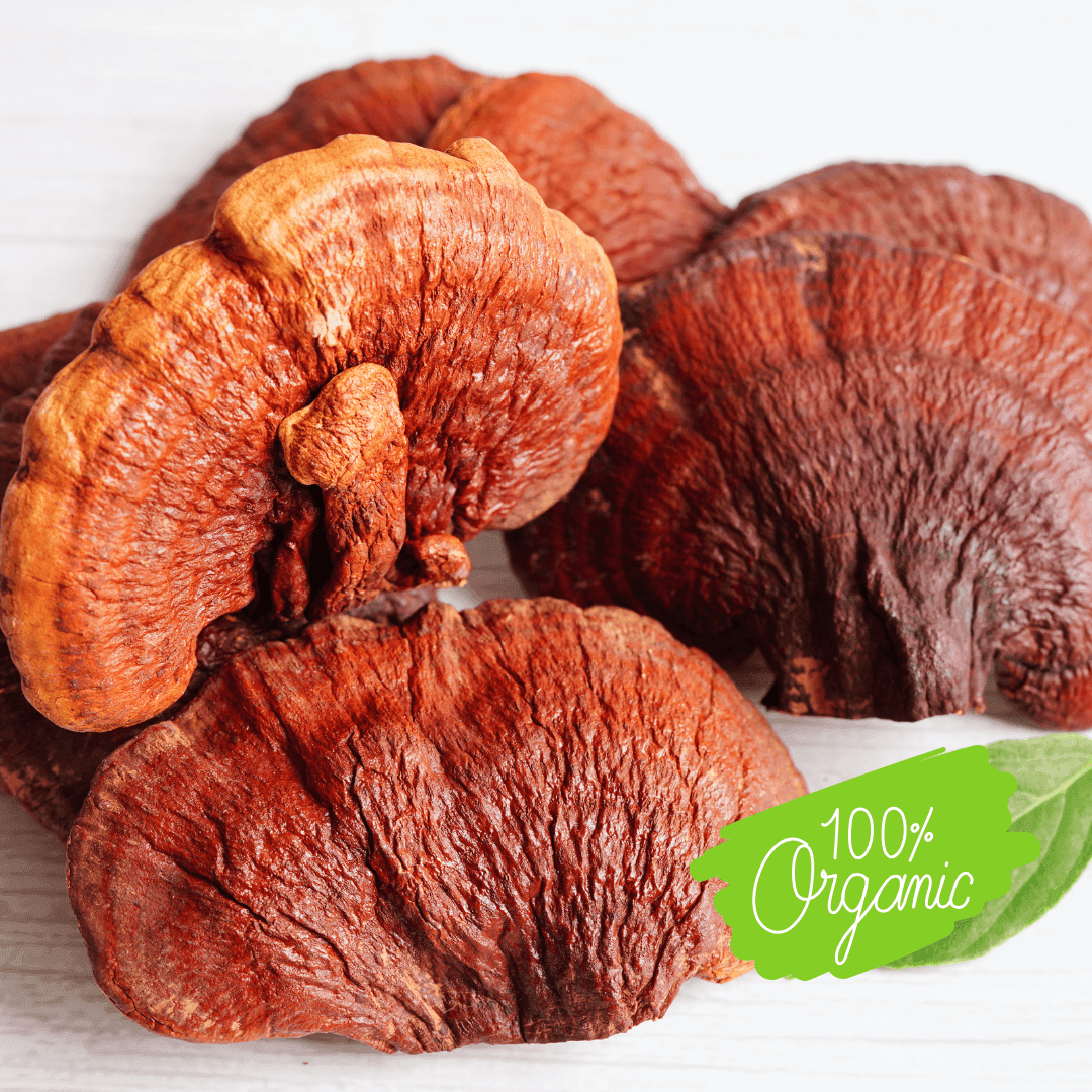 Reishi mushrooms with organic logo