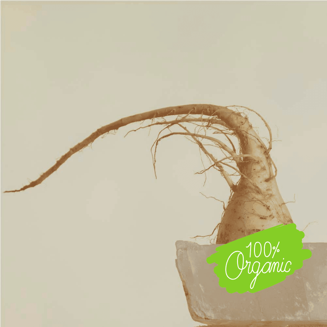 Maca root with organic logo