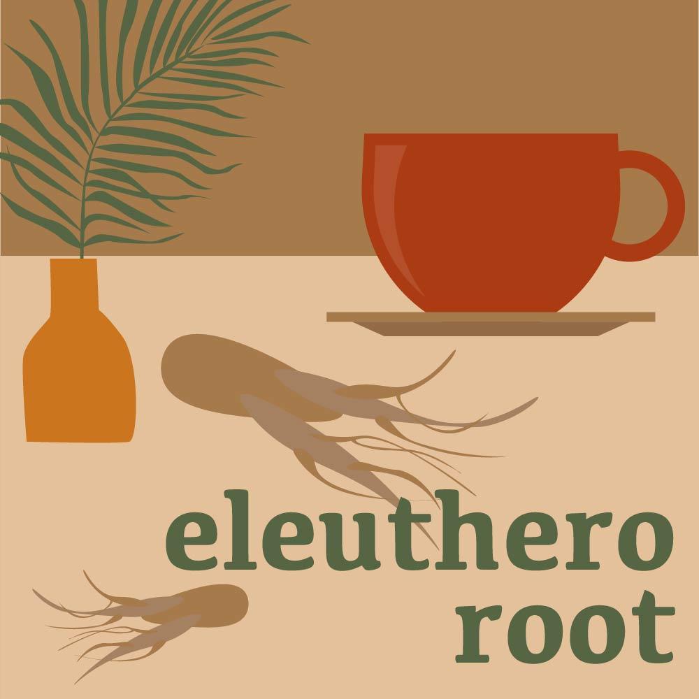 Eleuthero Root: Health Benefits and Usage (Siberian Ginseng)