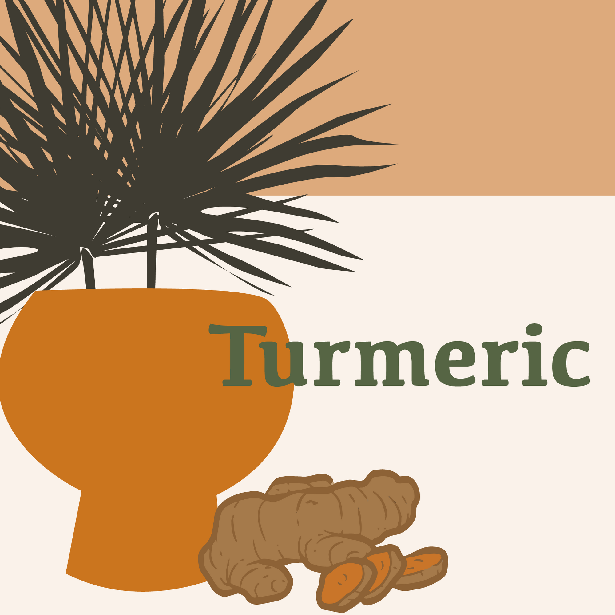 Herbal Highlights: Turmeric Root - Health Benefits, Cultural History, and Nutritional Profile