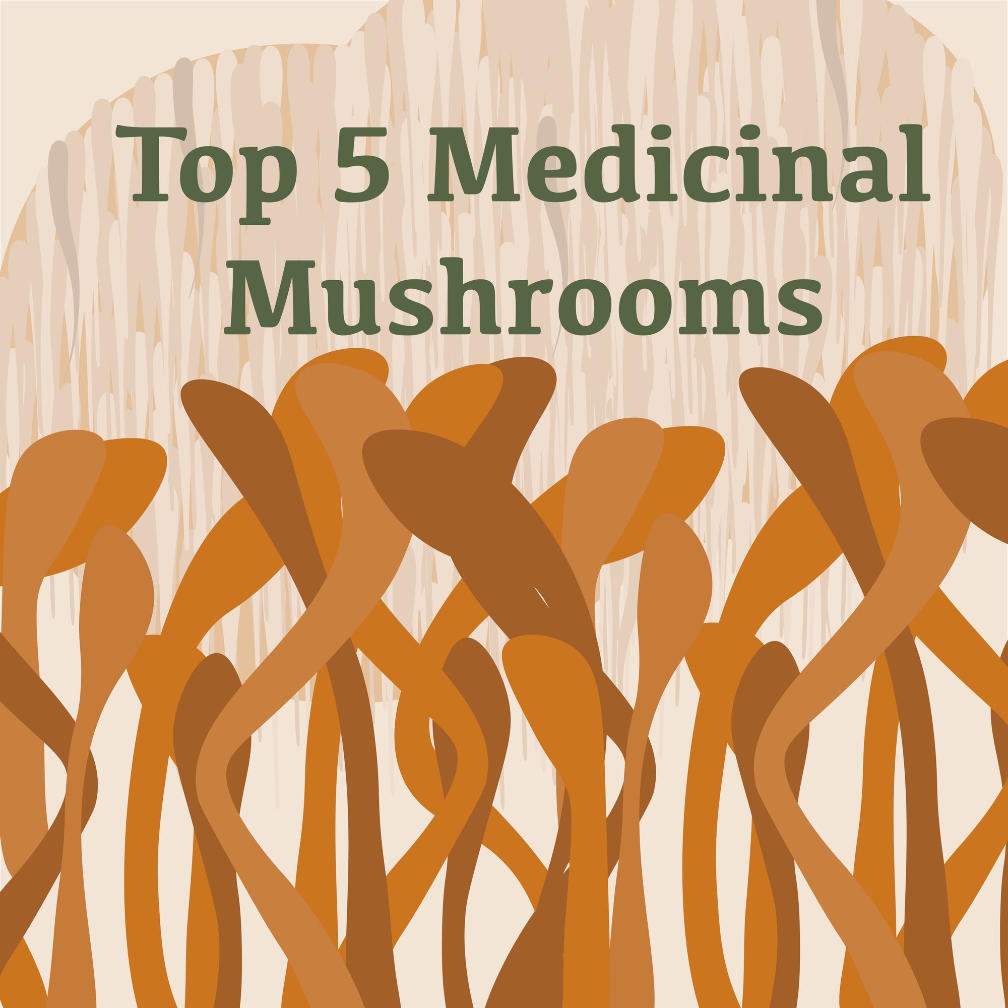 Top 5 Medicinal Mushrooms for Nutritional Value, Immune Support, & Overall Health